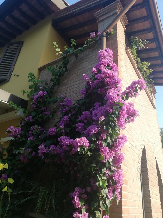 Casolare Isabella "Il Rifugio Dei Vinili" And Alice'S Room ปอนซาคโค ภายนอก รูปภาพ